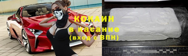 тгк Бородино