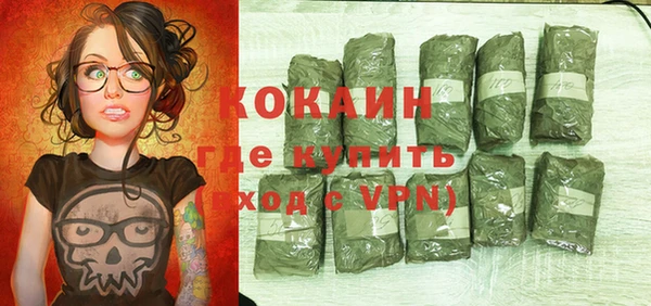 тгк Бородино