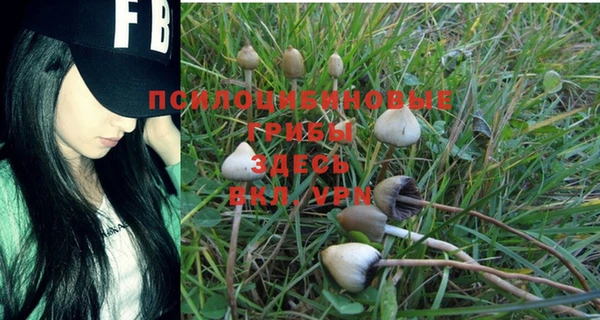ПСИЛОЦИБИНОВЫЕ ГРИБЫ Бронницы