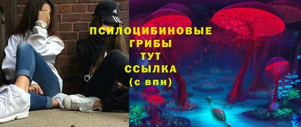тгк Бородино