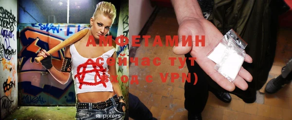 ECSTASY Богданович
