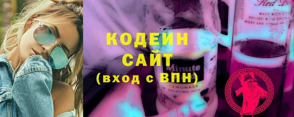 ECSTASY Богданович